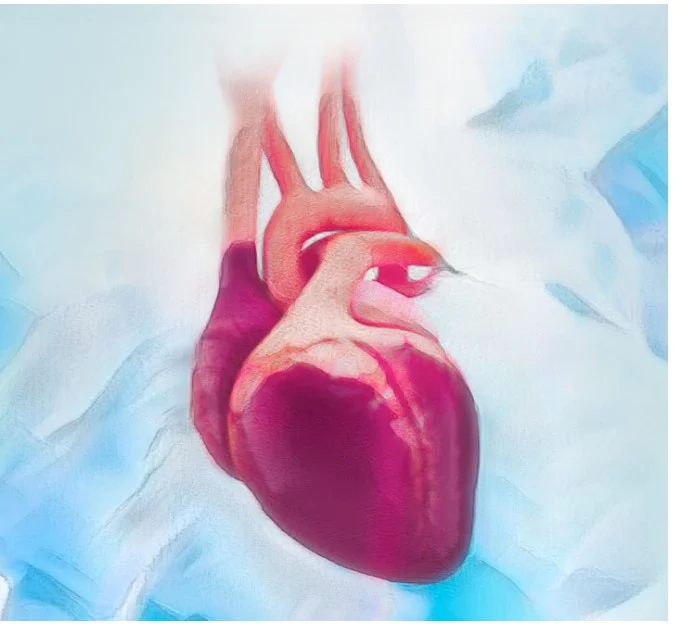 Cardiac Surgery Certification (CSC) Review Course 2022 (Videos + Slides + Quiz) Cardiac Surgery Certification (CSC) Review Course 2022 (Videos + Slides + Quiz)