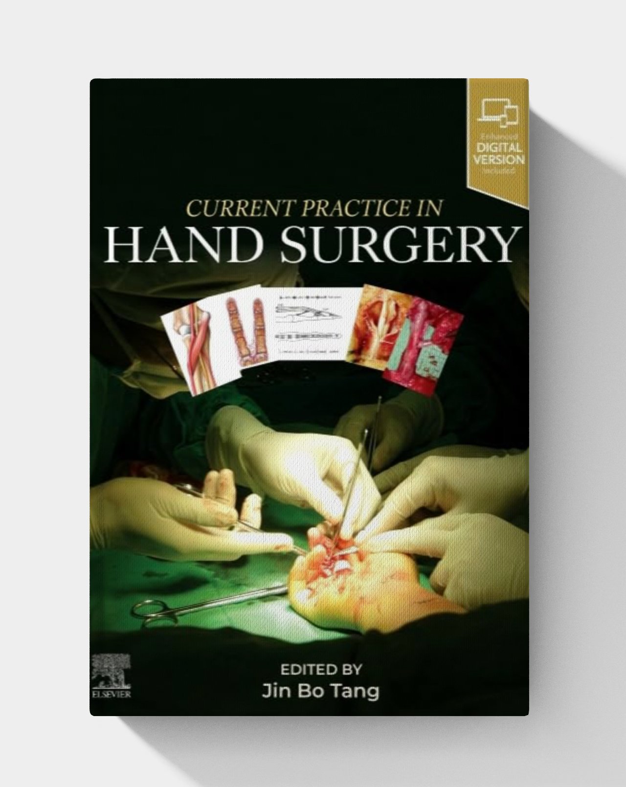 Current Practice in Hand Surgery (1st Edition) PDF ONLY Current Practice in Hand Surgery (1st Edition) PDF ONLY
