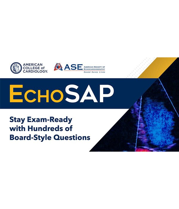 EchoSAP 2024 complete Video + PDF + Q&A EchoSAP 2024 complete Video + PDF + Q&A