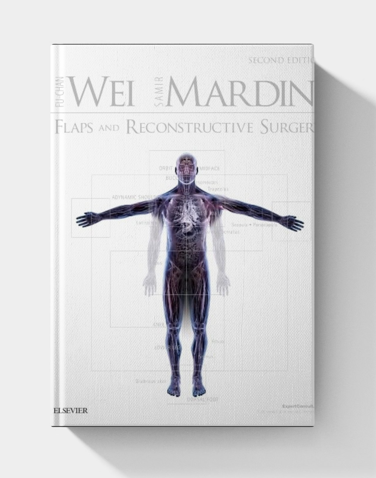 Flaps and Reconstructive Surgery Flaps and Reconstructive Surgery