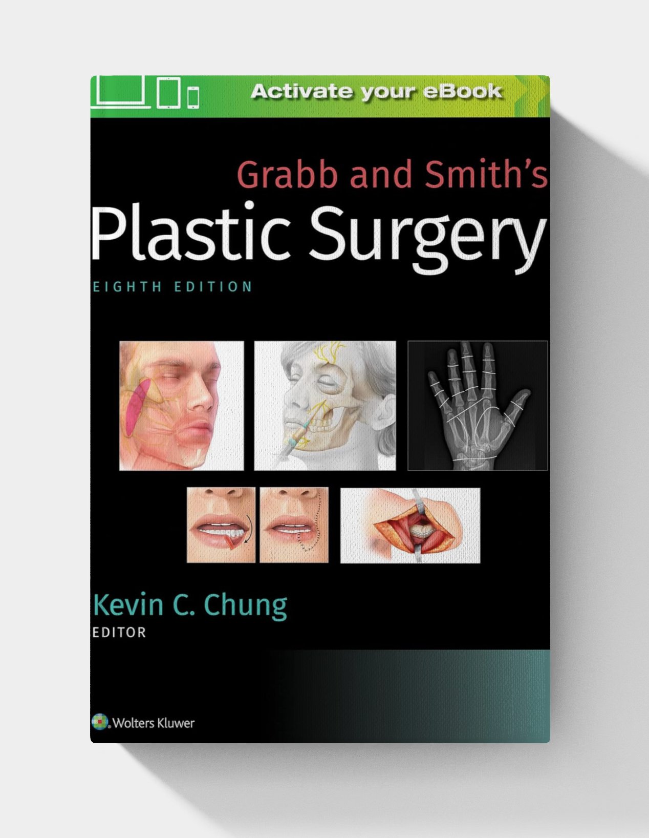 Grabb and Smith's Plastic Surgery (8th Edition) Grabb and Smith's Plastic Surgery (8th Edition)