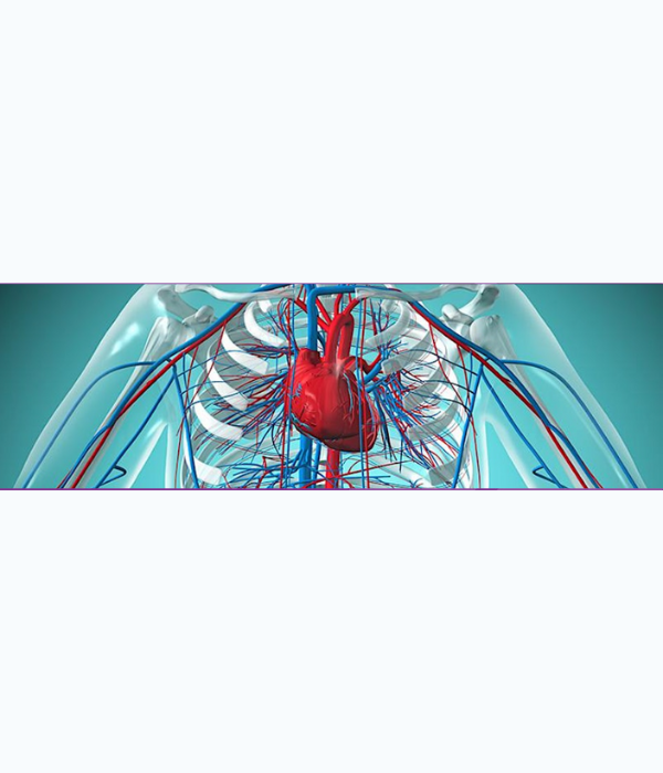 Hospital for Special Surgery Contemporary Topics in Vasculitis 2024 Hospital for Special Surgery Contemporary Topics in Vasculitis 2024