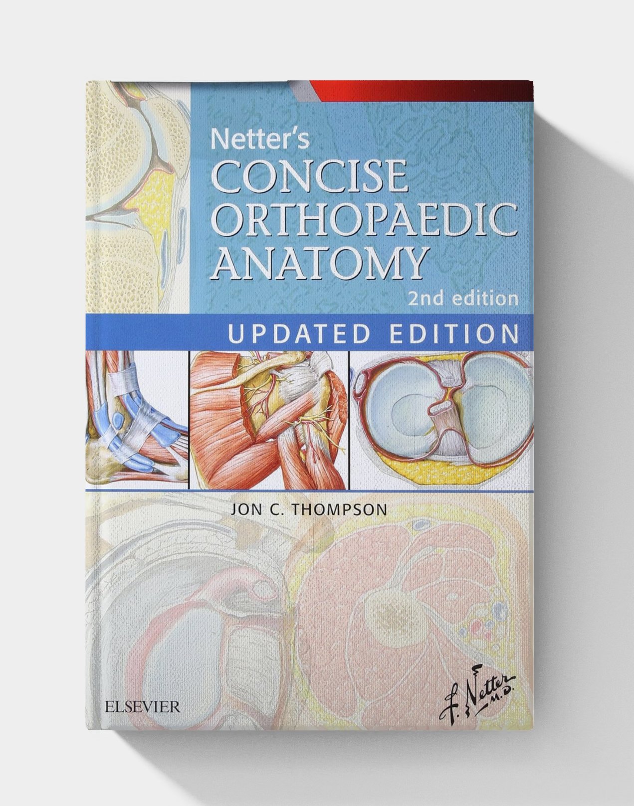 Netter's Concise Orthopaedic Anatomy, Updated Edition (Netter Basic Science) 2nd Edition Netter's Concise Orthopaedic Anatomy, Updated Edition (Netter Basic Science) 2nd Edition