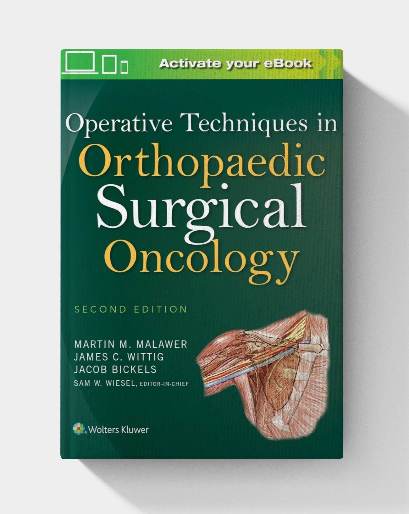 Operative Techniques in Orthopaedic Surgical Oncology (2nd Edition) Operative Techniques in Orthopaedic Surgical Oncology (2nd Edition)