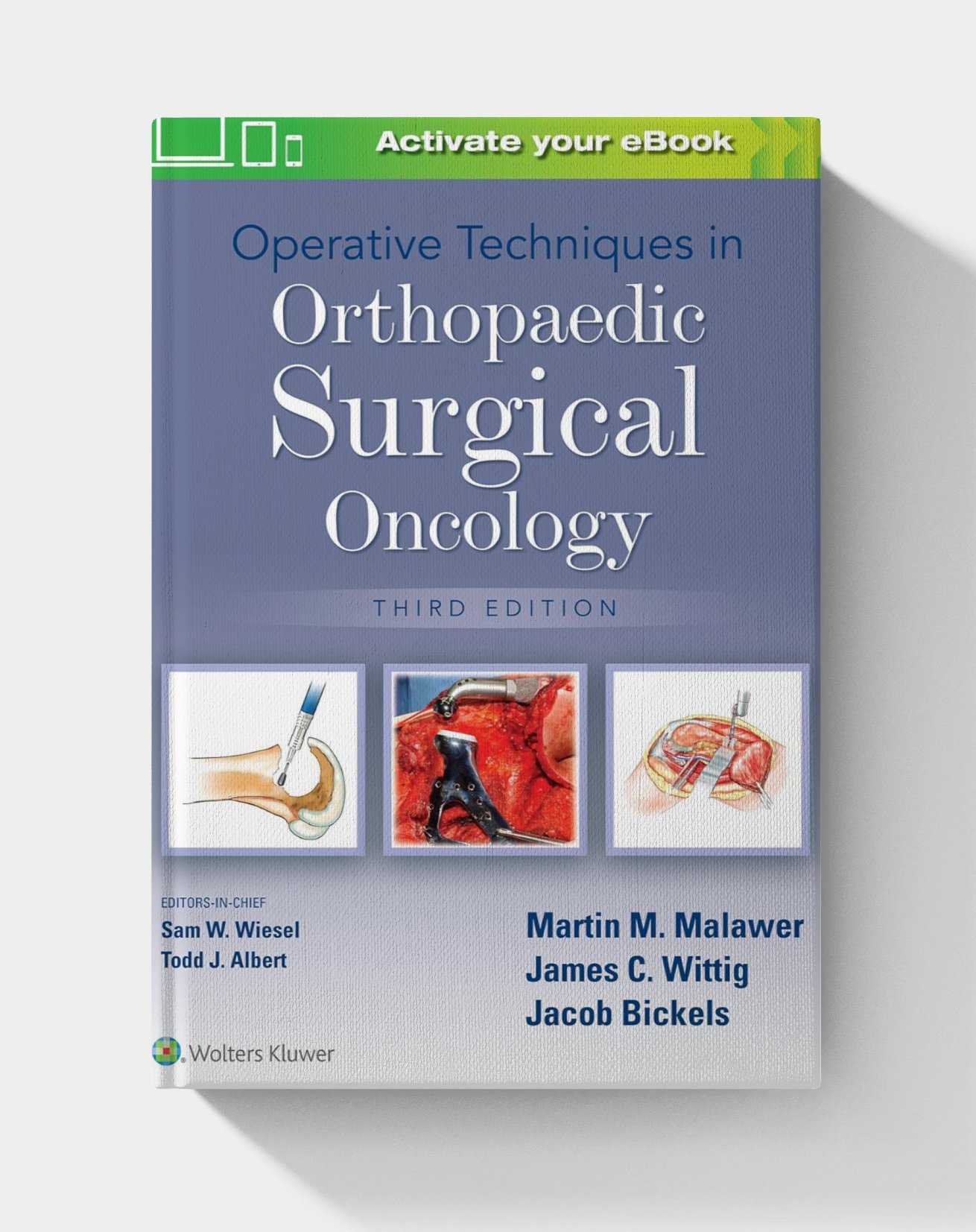 Operative Techniques in Orthopaedic Surgical Oncology (3rd Edition) Operative Techniques in Orthopaedic Surgical Oncology (3rd Edition)