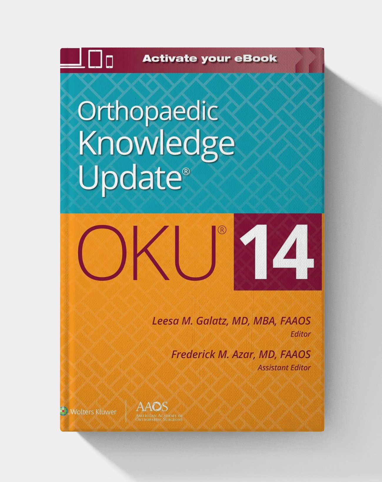 Orthopaedic Knowledge Update: 14 (EPUB) Orthopaedic Knowledge Update: 14 (EPUB)