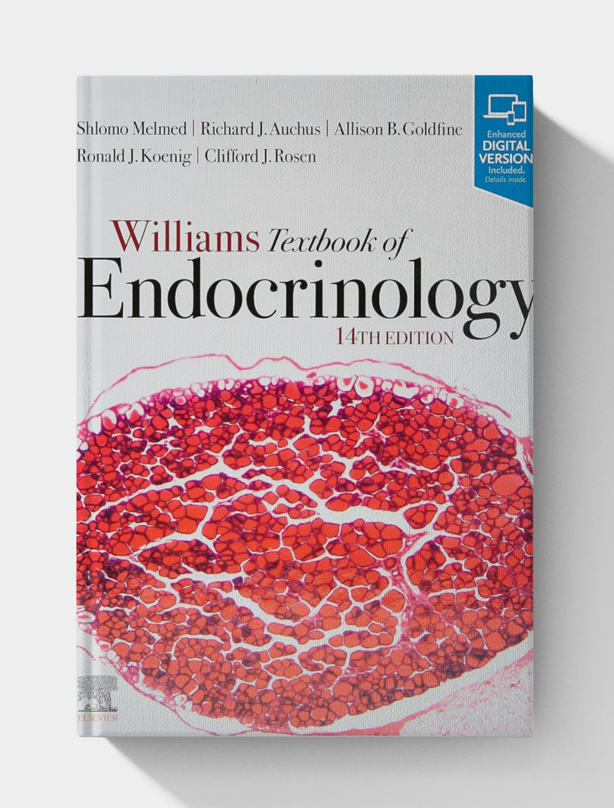 Williams Textbook of Endocrinology (14th Edition) Williams Textbook of Endocrinology (14th Edition)